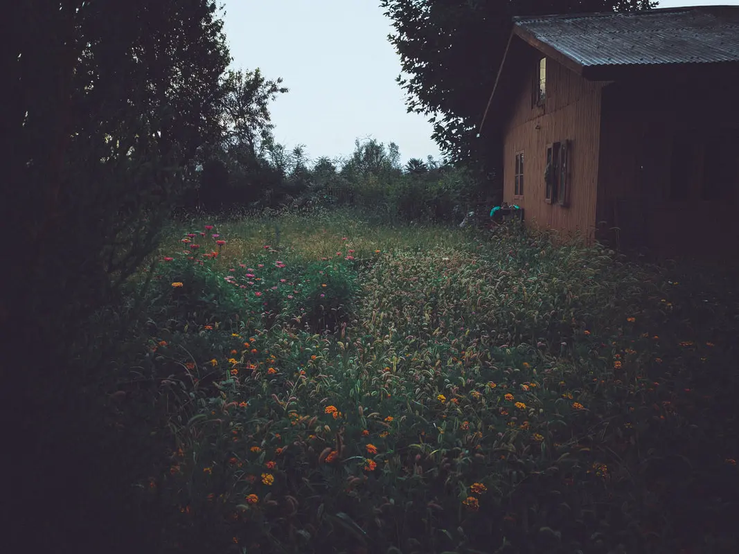 Picture